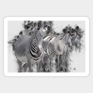 Zebra Wild Animal Safari Africa Jungle Magnet